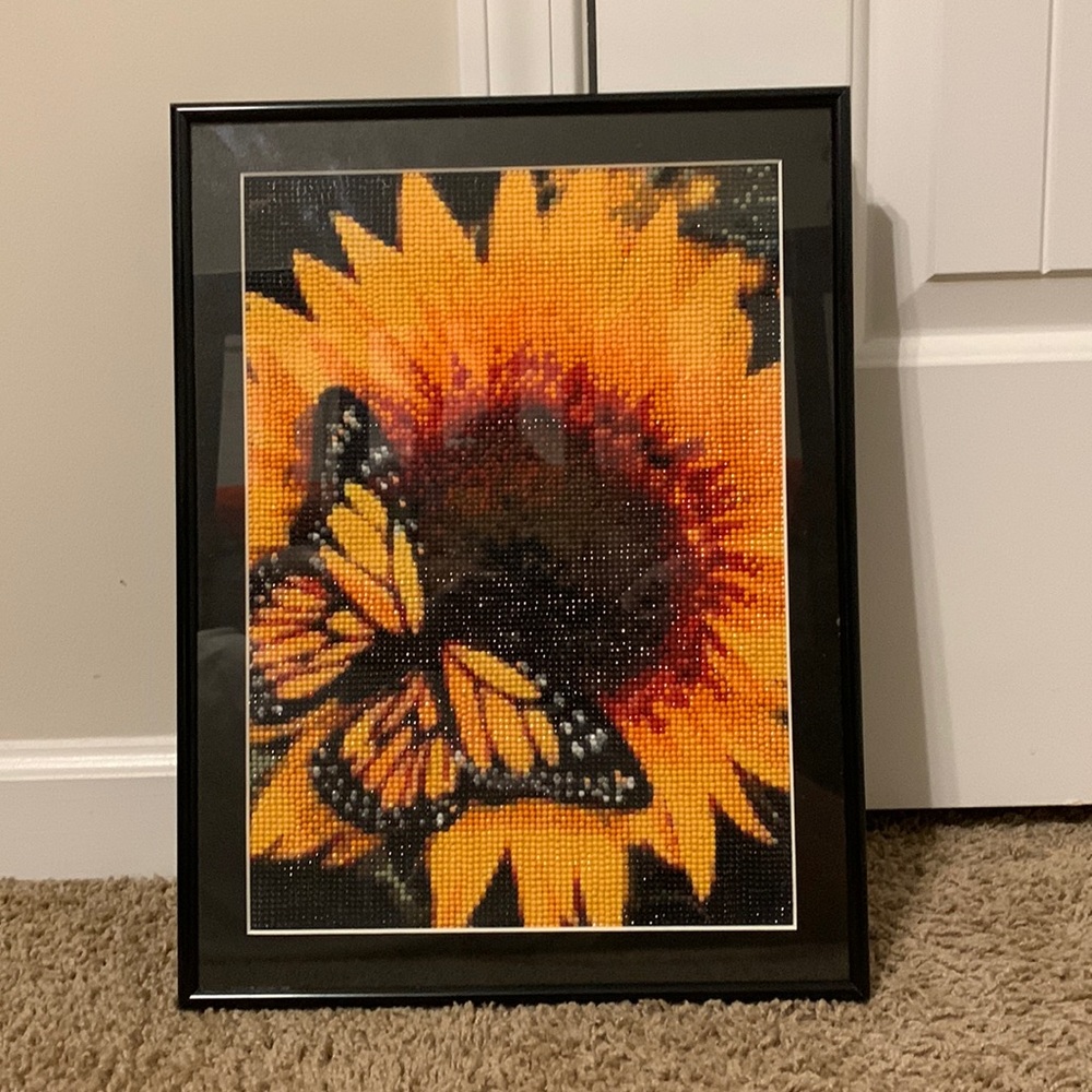 Diamond Art Paint w/ Black Frame